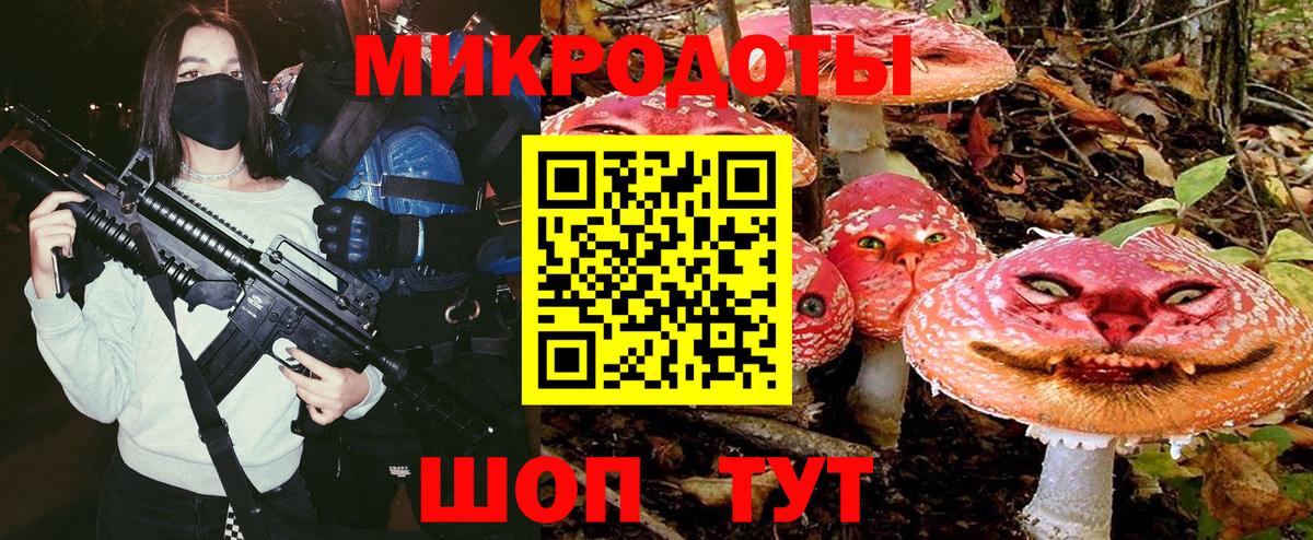 Псилоцибиновые грибы Cubensis Карасук