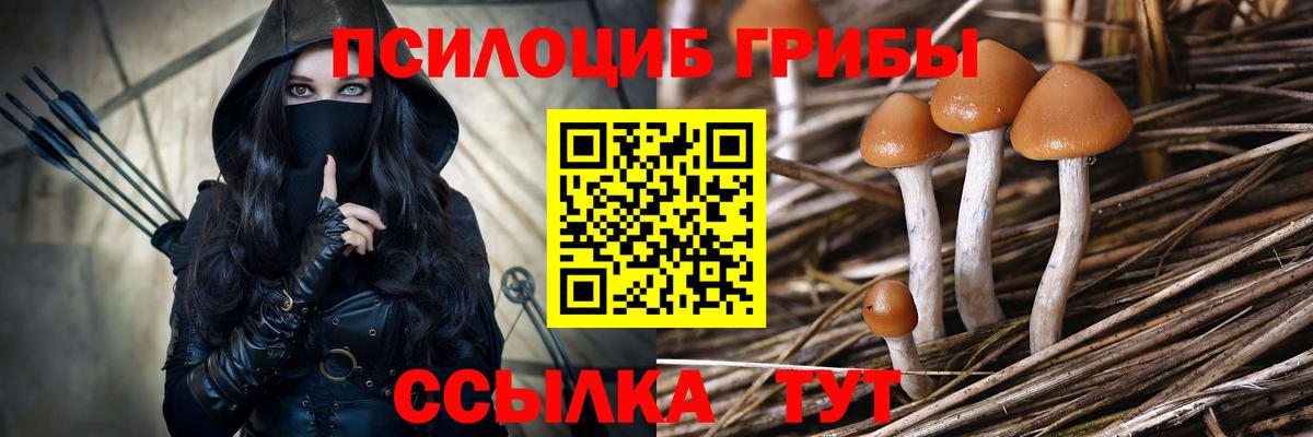 Карасук  Галлюциногенные грибы Magic Shrooms  Вход с VPN 